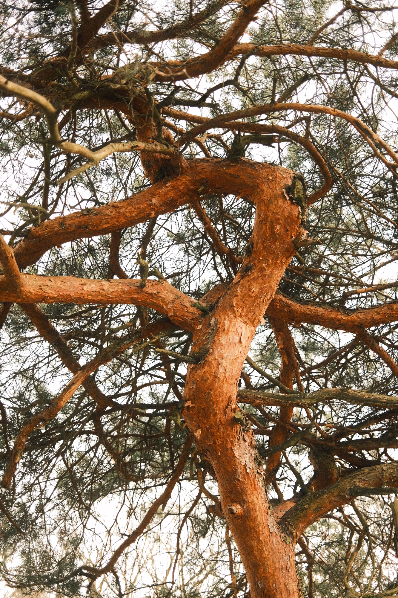 Image from the Default album