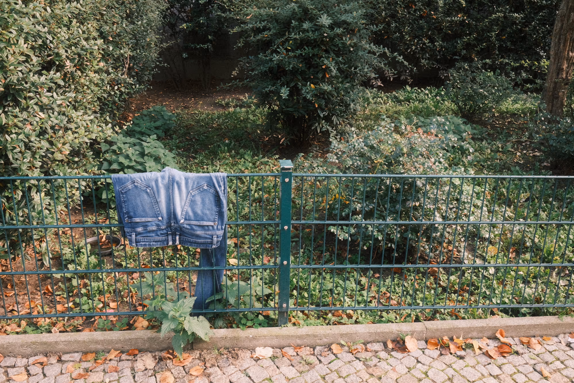 Image from the Default album